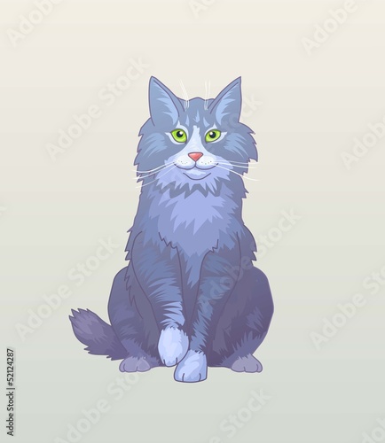 Cat vector illustration