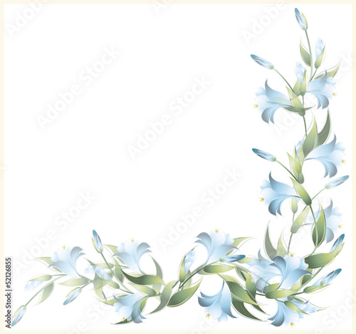 Greeting card with a lily. Lily illustration.  Decorative framew