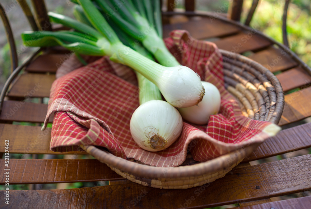 Naklejka premium Fresh Sweet Vidalia Onions