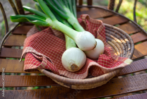 Fresh Sweet Vidalia Onions