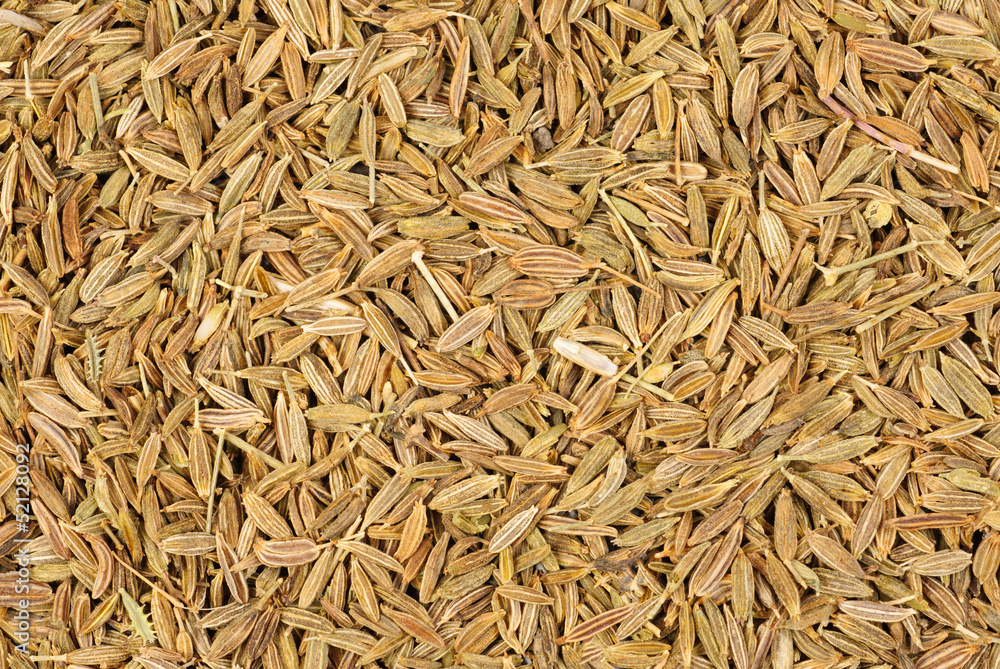 Cumin seeds baqckground Cumin seeds baqckground