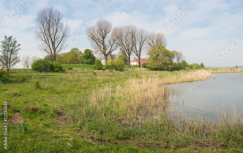 Picuresque floodplain of a river with tall trees on the bank photo