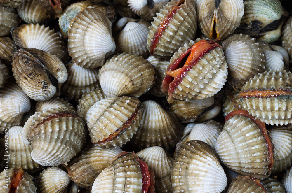 cockles cockles