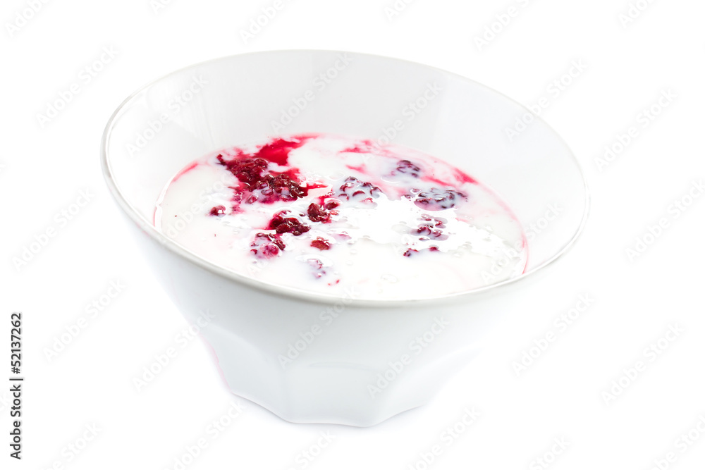Fresh yogurt with blackberry in a white bowl, isolated Fresh yogurt with blackberry in a white bowl, isolated