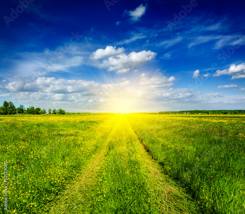 Spring summer - rural road in green field scenery