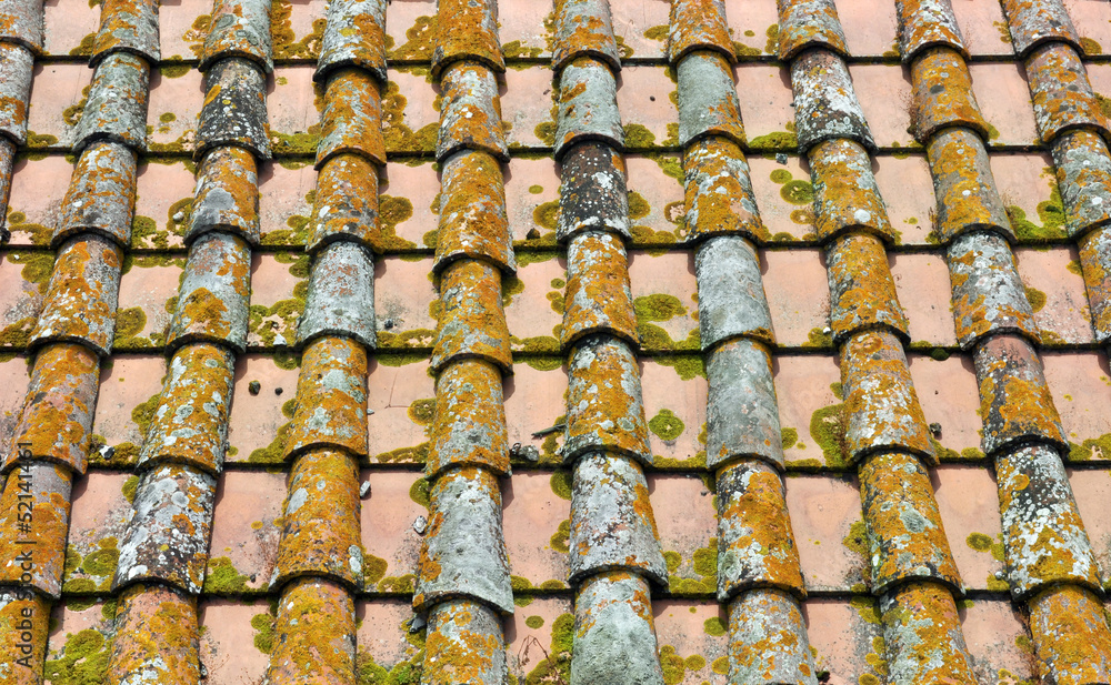 Tegole di vecchio tetto con muschi e licheni