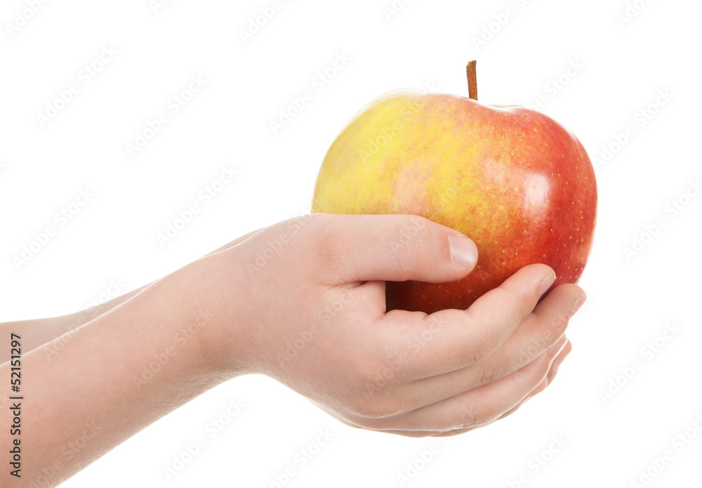 apple in child hand apple in child hand