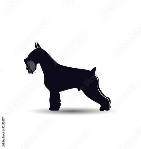 Schnauzer dog  silhouette vector