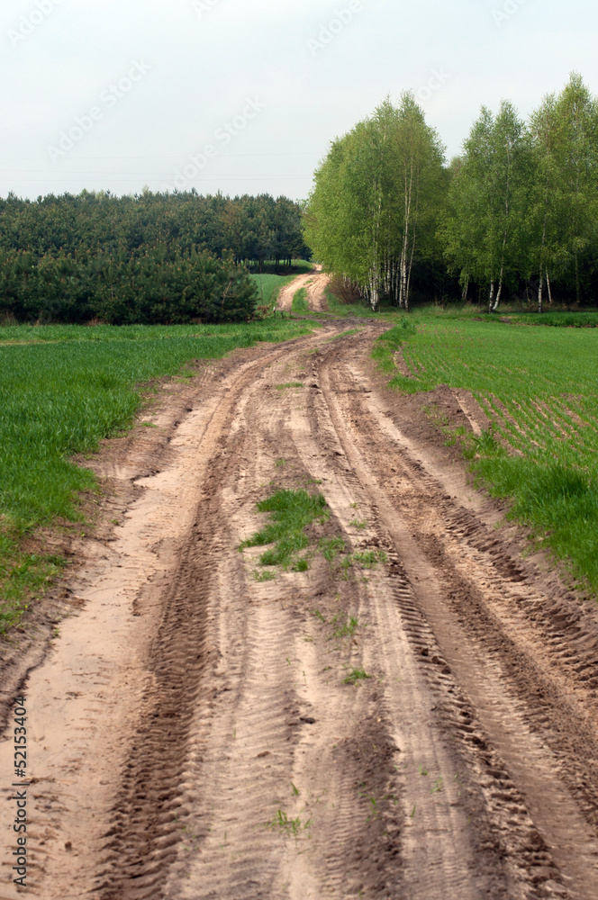 Rural dirt road in the filed landscape