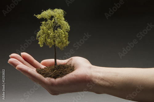 Man holding a tree in hand