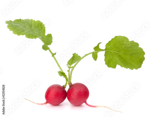 Small garden radish with leaves