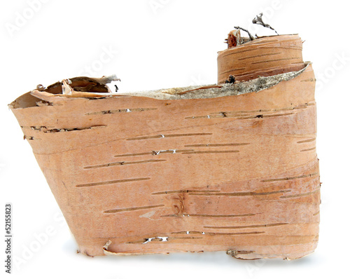 Принти на полотні birch bark isolated on a white background. place for writing.