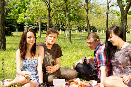 Two teenage couples having a picnic