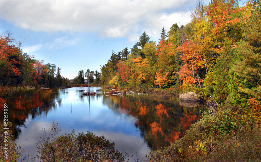Ablaze with Color in Michigan