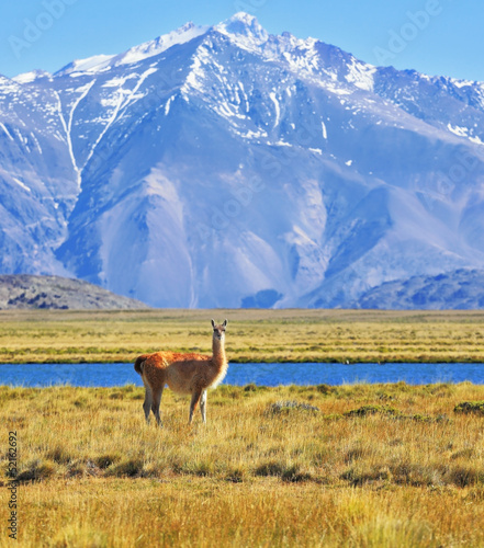 Patagonia, Perito Moreno National Park