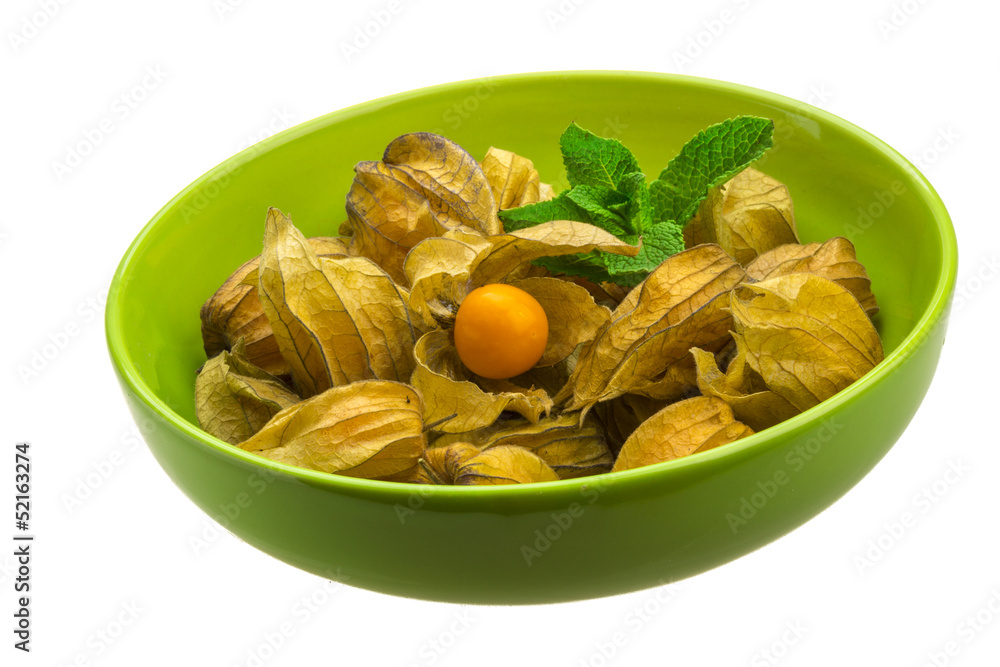 Physalis Physalis