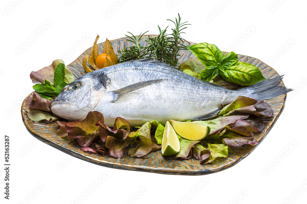 Fresh raw dorada