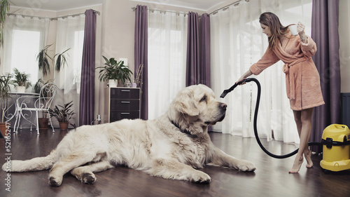 Fotografie Young woman cleaning big dog