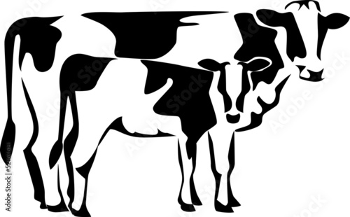 cow with calf
