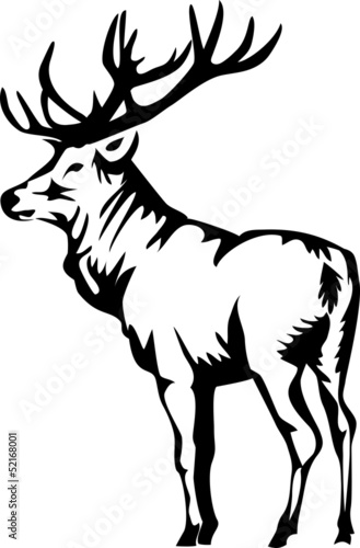 elk
