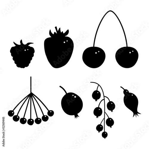 Set with different berries icons