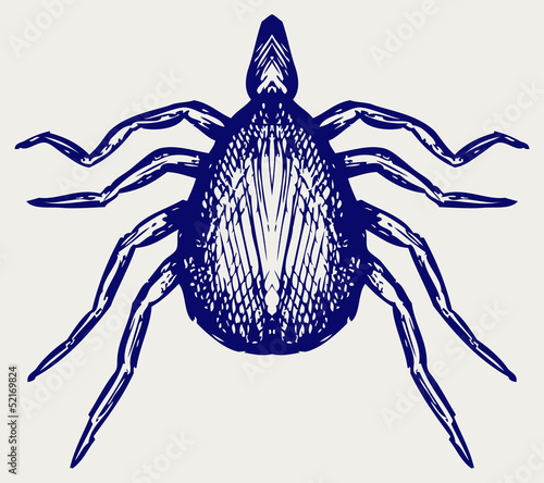 Mite bug. Doodle style