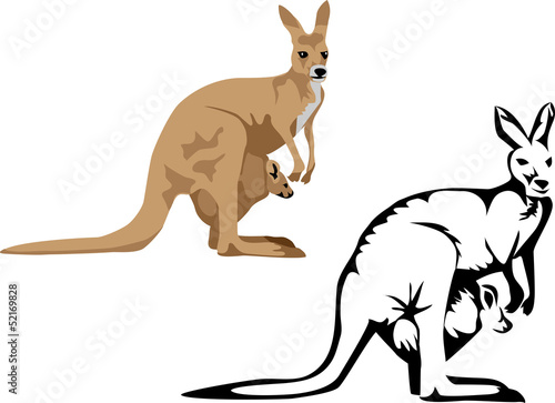 kangaroo with young