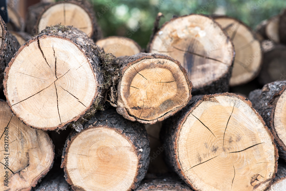 WOODEN WOODEN