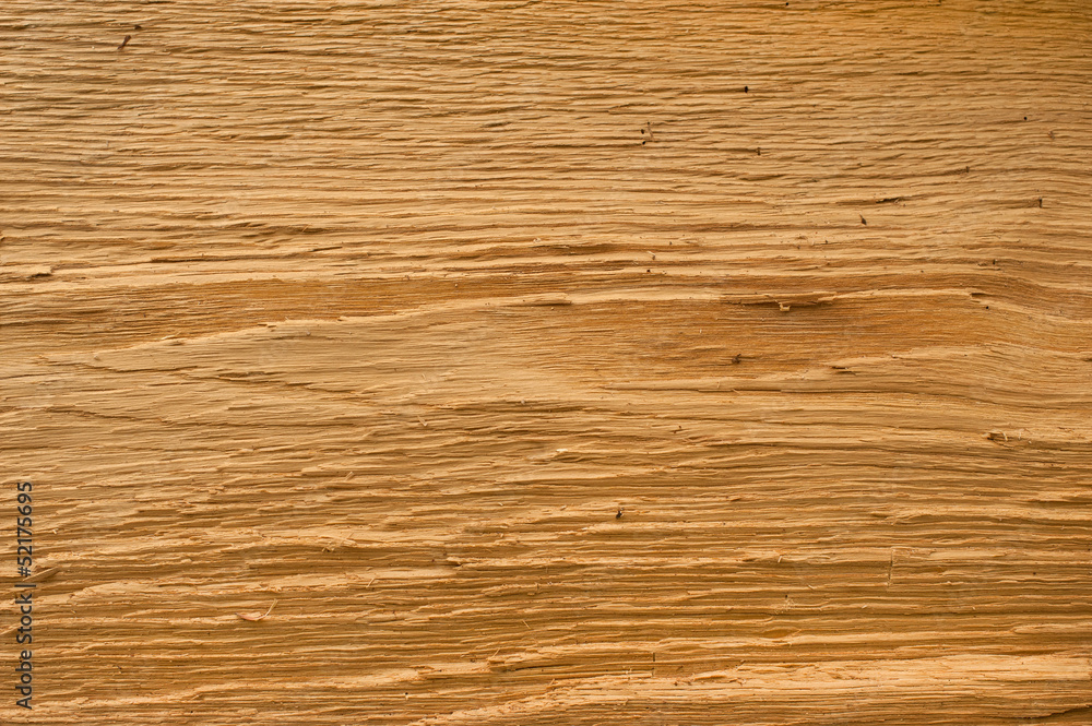 Fototapeta premium wood texture