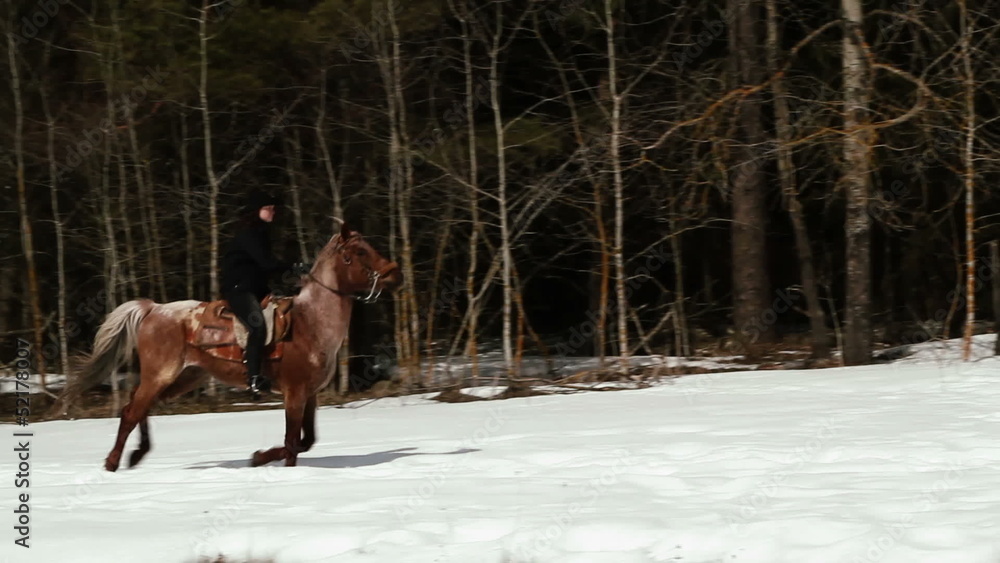 female cowboy rides a horse at a gallop in winter female cowboy rides a horse at a gallop in winter