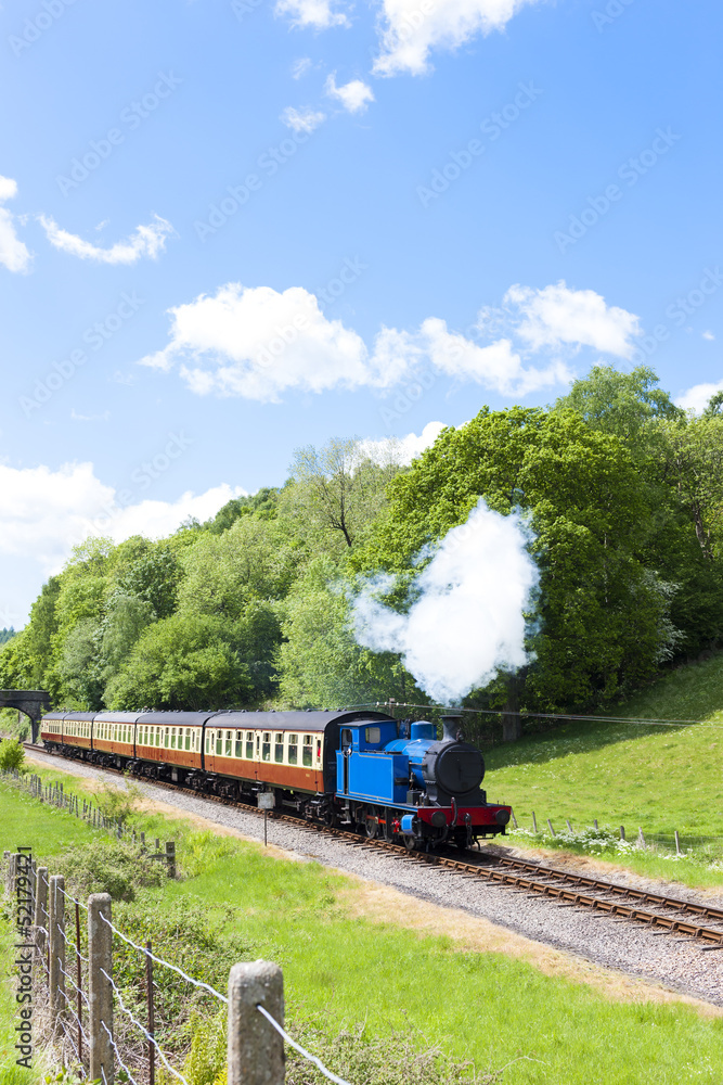 Fototapeta premium pociąg parowy, Lakeside and Haverthwaite Railway, Cumbria, Anglia