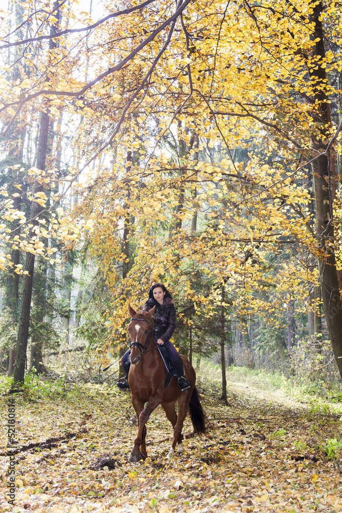 equestrian on horseback in autumnal nature equestrian on horseback in autumnal nature