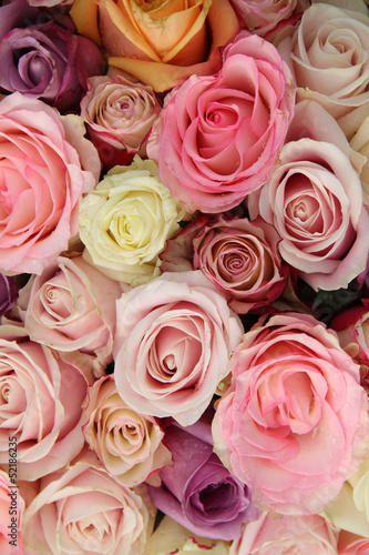 Wedding roses in pastel colors