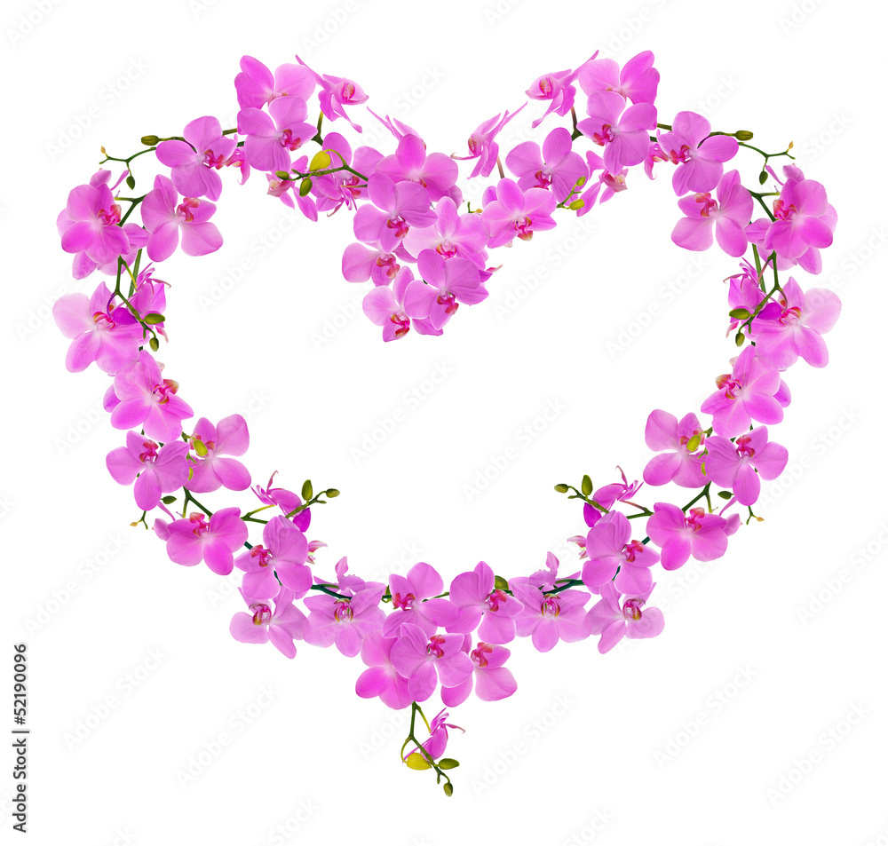heart shape frame from pink orchid flowers