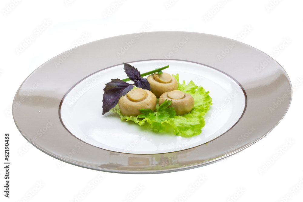 Ripe fresh Champignon Ripe fresh Champignon