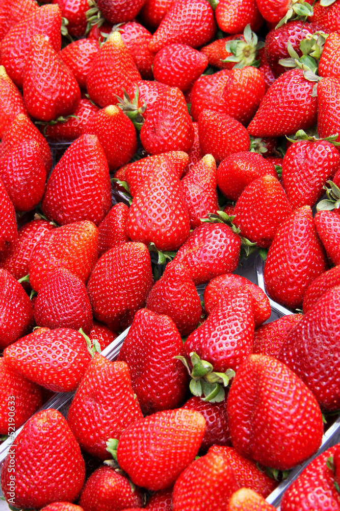Organic strawberries in a pile Organic strawberries in a pile