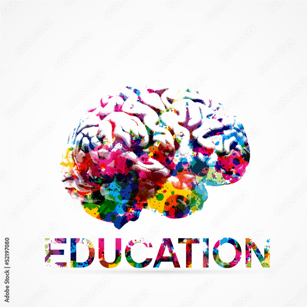Fototapeta premium cerveau, éducation,vecteur