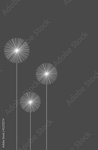 pusteblumen