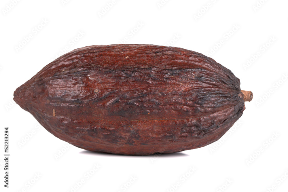 cocoa fruit cocoa fruit