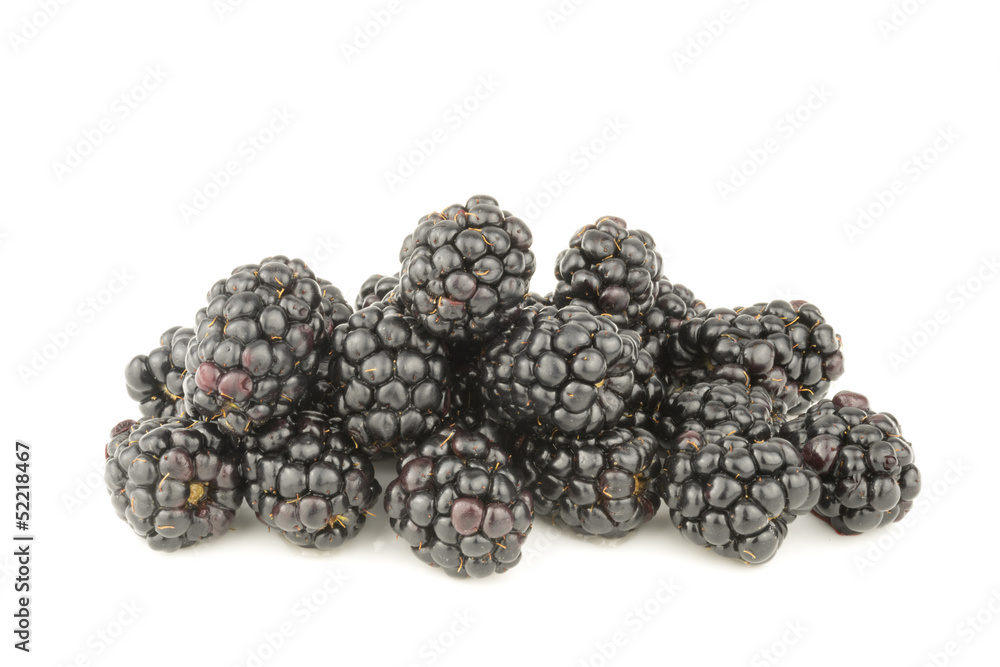 Blackberries on White Background Blackberries on White Background