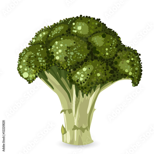 broccoli