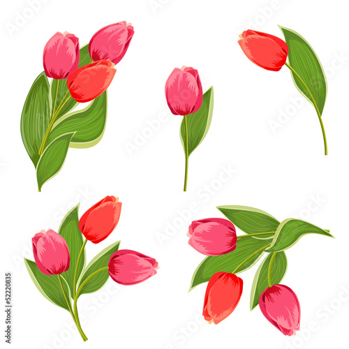 Set bouquets of tulips for your design
