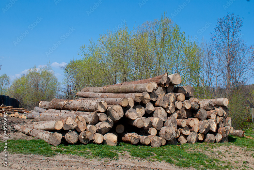 Logs of tree