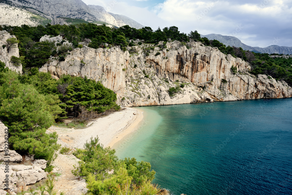 Amazing Adriatic Sea bay with pines in Croatia
