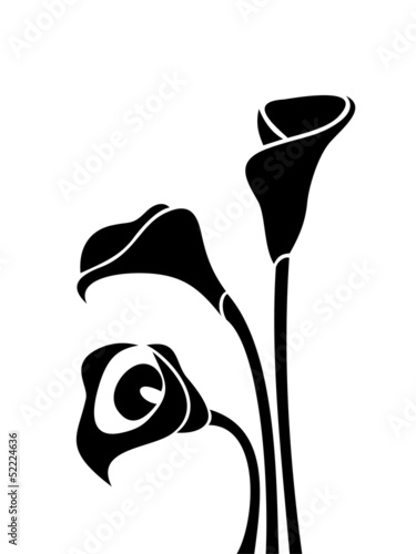 Black silhouettes of calla lilies. Vector illustration.