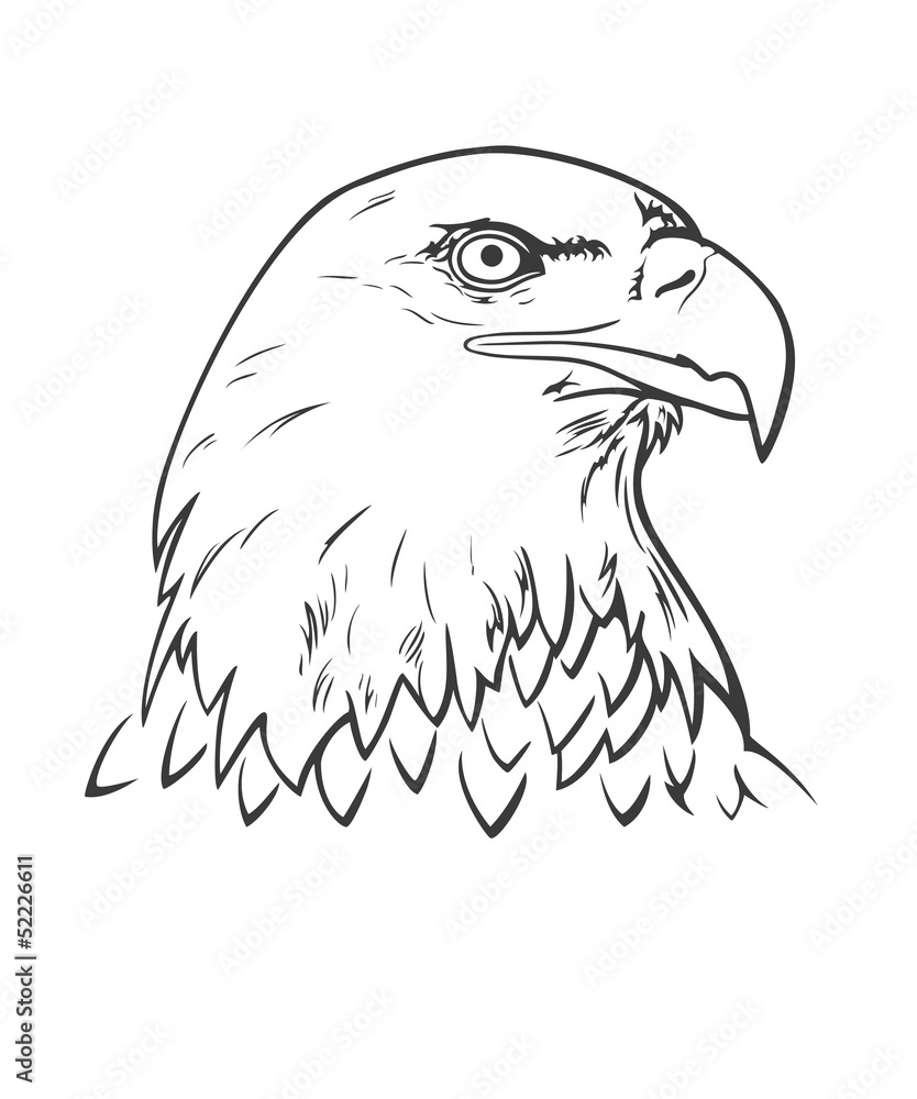 Fototapeta premium Eagle