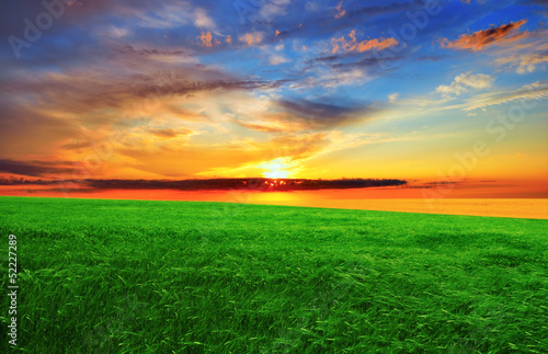 Sunset over the green field