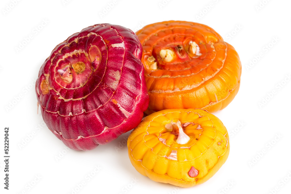 Three bulbs of gladiolus