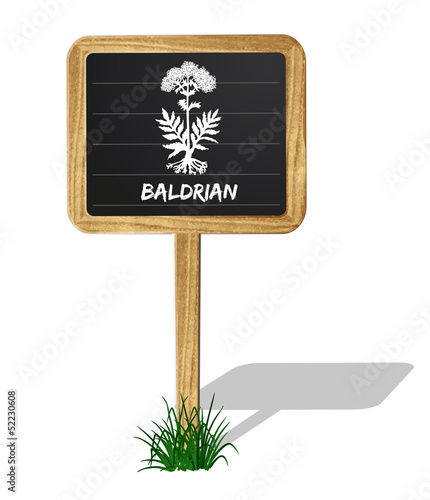 Baldrian Heilkräuter Vektor