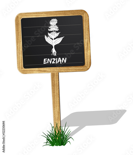 Enzian Heilkräuter Vektor